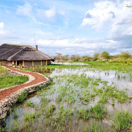 Africa Safari Lake Manyara Located Inside A Wildlife Park Mto wa Mbu Buitenkant foto