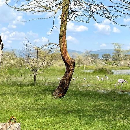 Africa Safari Lake Manyara Located Inside A Wildlife Park Mto wa Mbu Buitenkant foto