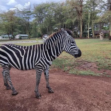 Africa Safari Lake Manyara Located Inside A Wildlife Park Mto wa Mbu Buitenkant foto