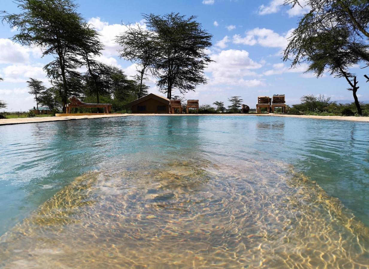 Africa Safari Lake Manyara Located Inside A Wildlife Park Mto wa Mbu Buitenkant foto