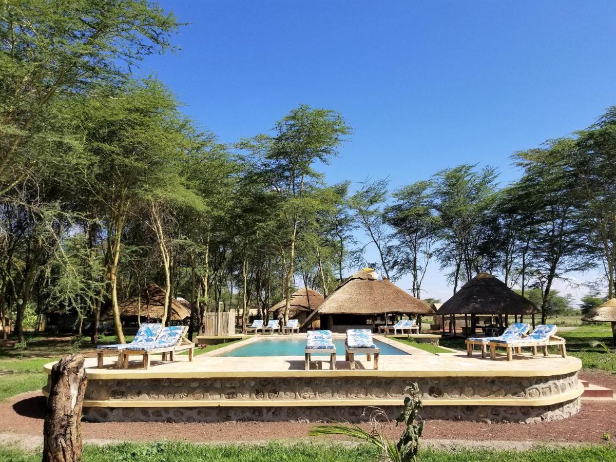 Africa Safari Lake Manyara Located Inside A Wildlife Park Mto wa Mbu Buitenkant foto