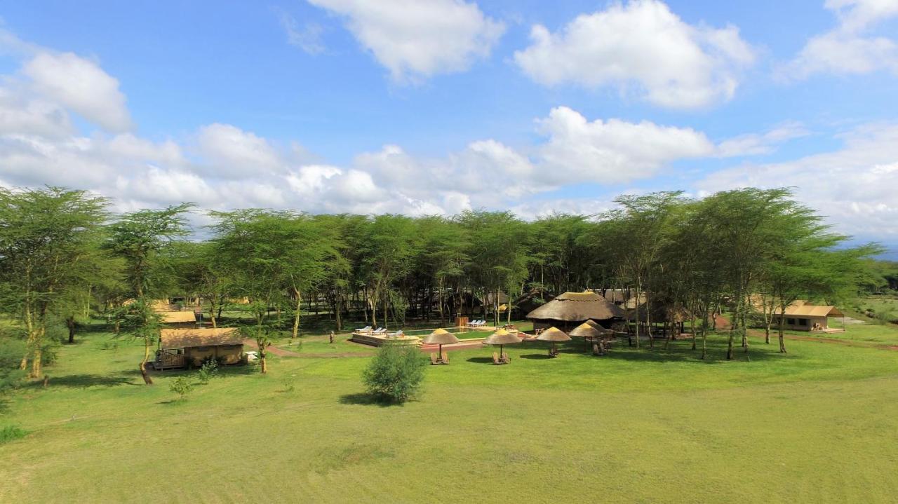 Africa Safari Lake Manyara Located Inside A Wildlife Park Mto wa Mbu Buitenkant foto