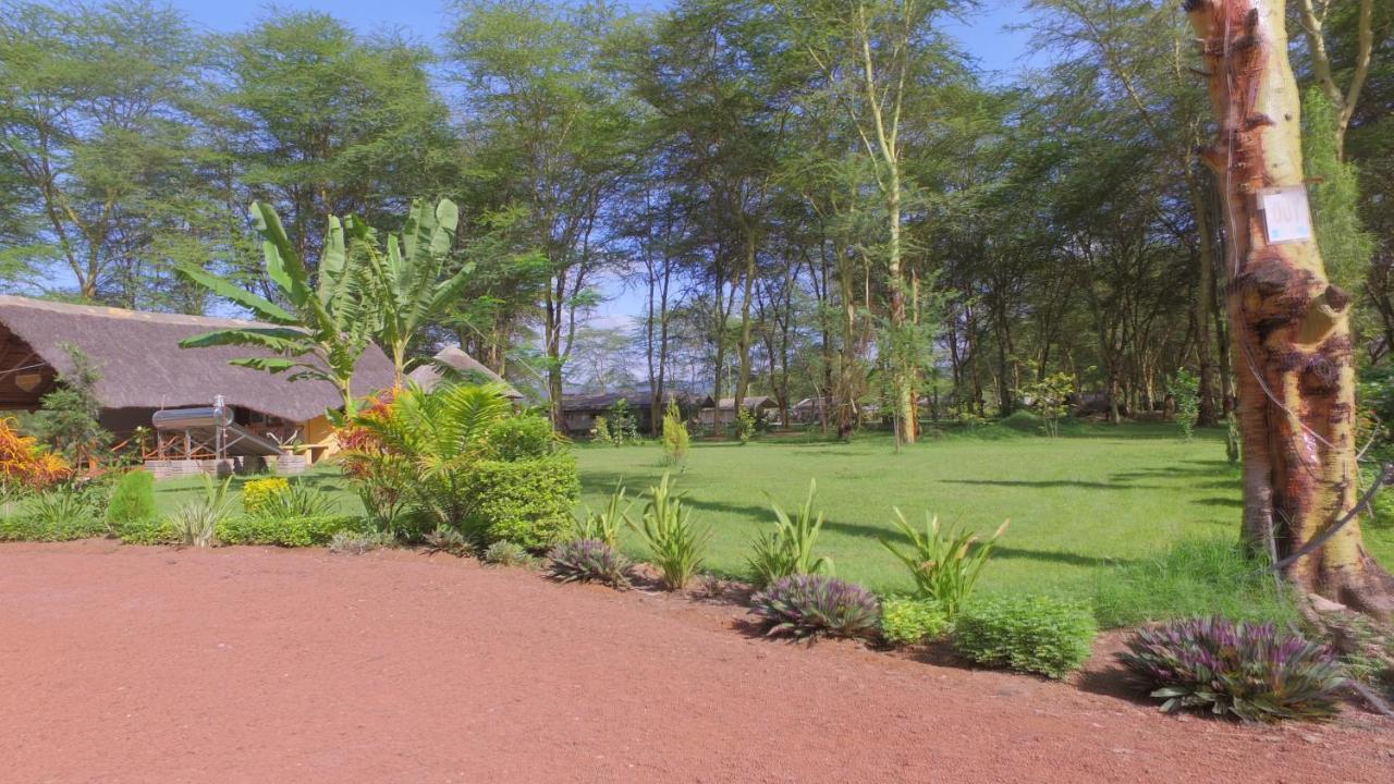 Africa Safari Lake Manyara Located Inside A Wildlife Park Mto wa Mbu Buitenkant foto