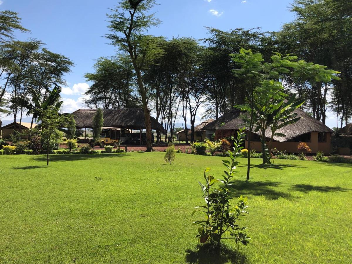 Africa Safari Lake Manyara Located Inside A Wildlife Park Mto wa Mbu Buitenkant foto