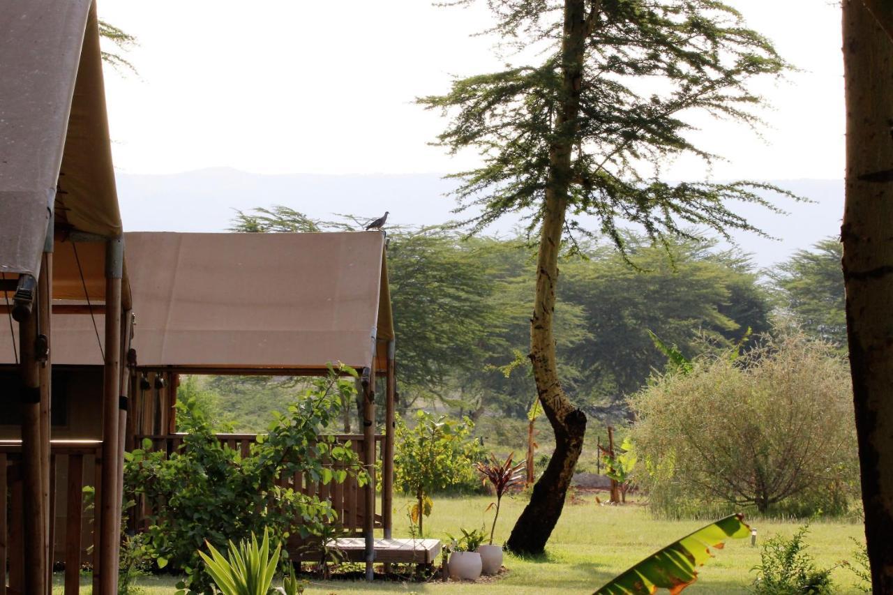 Africa Safari Lake Manyara Located Inside A Wildlife Park Mto wa Mbu Buitenkant foto