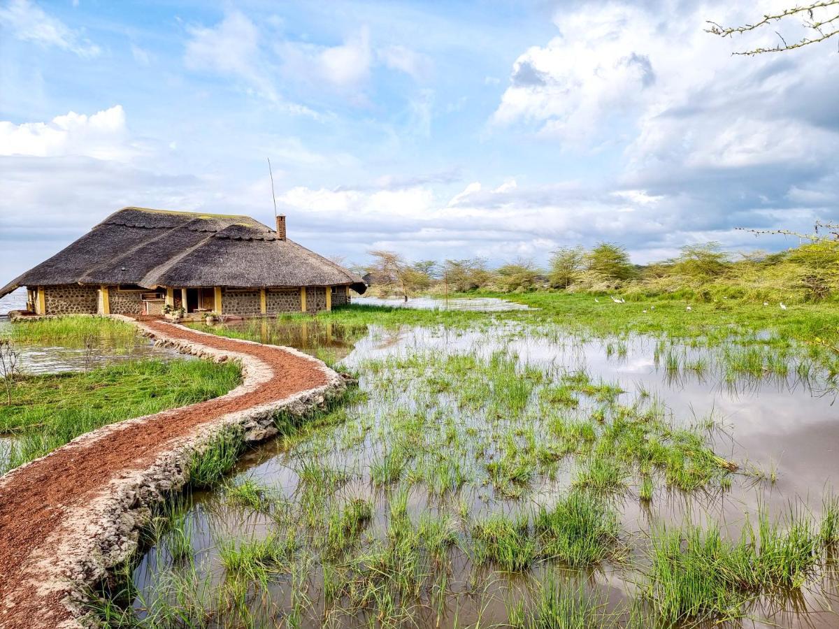 Africa Safari Lake Manyara Located Inside A Wildlife Park Mto wa Mbu Buitenkant foto