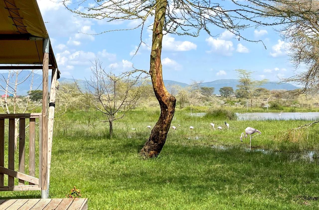 Africa Safari Lake Manyara Located Inside A Wildlife Park Mto wa Mbu Buitenkant foto